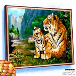 Алмазная мозаика на подрамнике 40x50 / YSG4160 /уп 30/полное заполнение