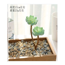 Суккулент искусственный 18 см / GN119 /уп 200/