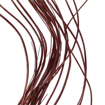 Сухоцвет набор 20 штук 120 см / 120cm-BR /уп 10/300/коричневая