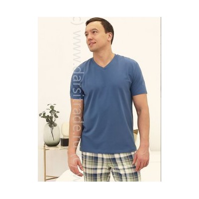 Футболка мужская №2726M-20181 Einshtein Almando Melado Дроп