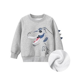 TSKIDS Толстовка утепленная   2978