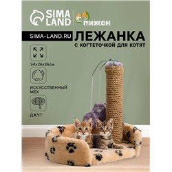 Лежанка с когтеточкой для котят, 34×26×34 см, джут, микс цветов
