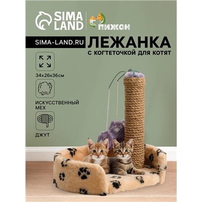Лежанка с когтеточкой для котят, 34×26×34 см, джут, микс цветов