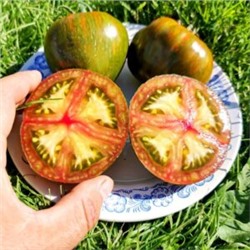 Помидоры Мистерия — Mystery Tomato (10 семян)