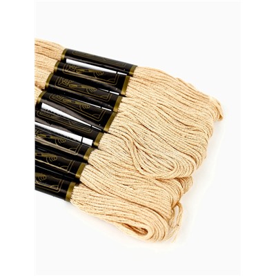 Нитки мулине Bestex, бежевый цвет (803), 24 шт. в уп.