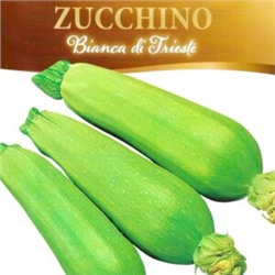 Цукино Белый из Триеста — Bianca di Trieste Zucchino (5 семян)