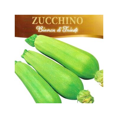 Цукино Белый из Триеста — Bianca di Trieste Zucchino (5 семян)