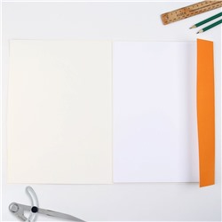 Бумага для черчения А4, 20 листов, без рамки, белизна 100%, 160 г/м² в папке