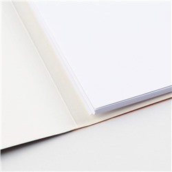 Бумага для черчения А4, 20 листов, без рамки, белизна 100%, 160 г/м² в папке