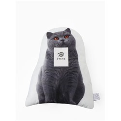Подушка декоративная «Этель» Scottish cat, 40×33 см, велюр