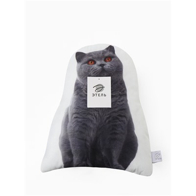 Подушка декоративная «Этель» Scottish cat, 40×33 см, велюр