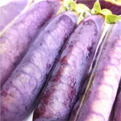 Горох Тутанхамона — King Tut Purple Pea (10 семян)