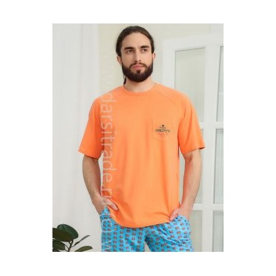 Футболка мужская №2124M-20197 Kusto Almando Melado Дроп