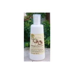 Шампунь на кокосовом масле от Baivan, "Coconut Oil Shampoo", 300 мл