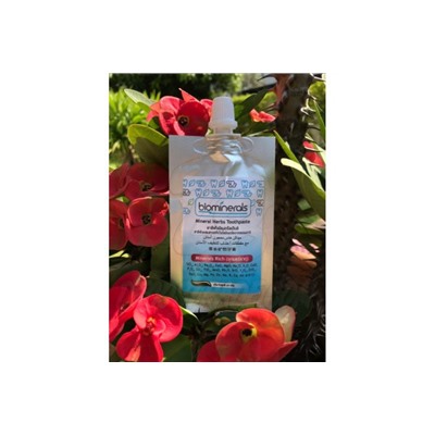 Минеральная зубная паста для восстановления эмали от Biominerals, Mineral Herbs Toothpaste, 25 гр