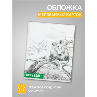 Комплект тетрадей из 4 штук, 96 листов в клетку Calligrata "Африка", обложка мелованный картон, блок №2, белизна 75% (серые листы)