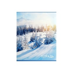 Набор тетрадей, 96 листов в клетку, Calligrata «Природа», серые листы, 4 штуки