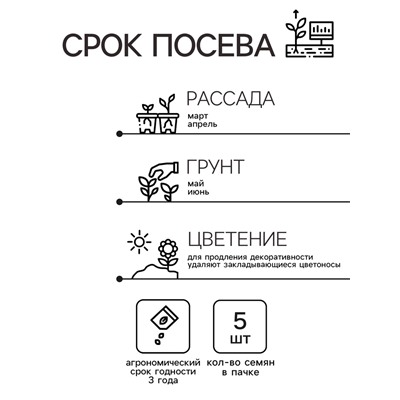 Семена комнатных цветов Колеус "Скарлет", ц/п,  5 шт.