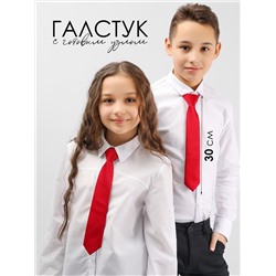 Соль&Перец Галстук