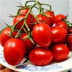 Помидоры Милашка Аннабель — Pretty Annabel Tomato (10 семян)