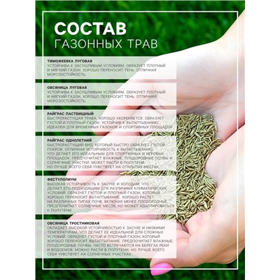 Семена газонной травы Sport Meister Gras, 10 кг