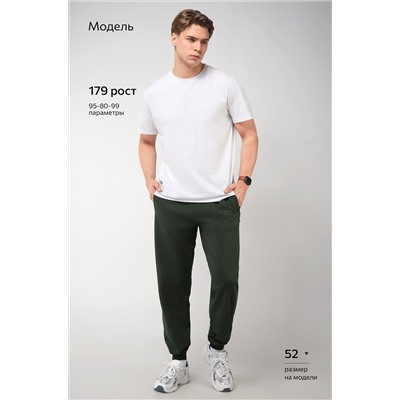 Мужские брюки из футера двухнитки Happyfox