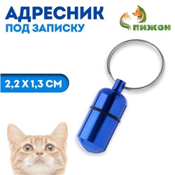 Адресник - капсула под записку, 2,2 х 1,3 см, синий