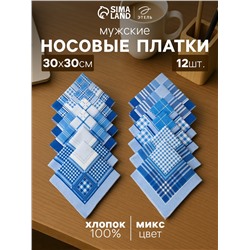 Платки носовые мужские «Этель», 30×30 см, набор 12 шт., голубые, рисунок МИКС, хлопок 100%