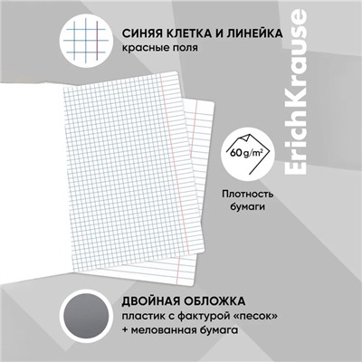 Набор предметных тетрадей 48 листов ErichKrause «Чубрик», 12 шт.