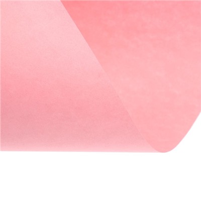 Бумага цветная Calligrata, А4, 250 листов, 10 цветов, пастель, интенсив, 80 г/м²