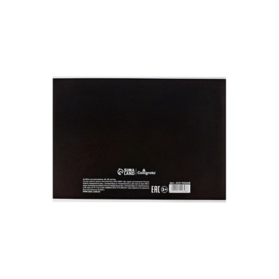 Альбом для рисования Calligrata А4, 20 листов, на скрепке, МИКС