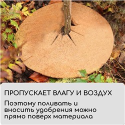 Круг приствольный, d=0.3 м, из кокосового полотна, набор 5 шт., «Мульчаграм»