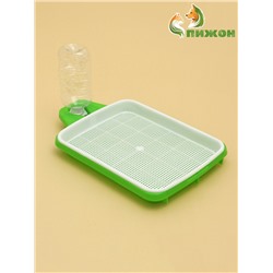 УЦЕНКА Лоток для проращивания травы кошкам с бутылкой для воды 32×23.5×5 см