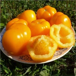 Помидоры Yellow Stuffer (10 семян)