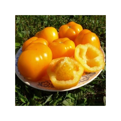 Помидоры Yellow Stuffer (10 семян)