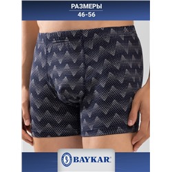 1227-104 Боксеры мужские (BAYKAR)