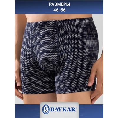 1227-104 Боксеры мужские (BAYKAR)