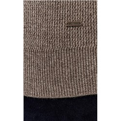 Водолазка мужская P321-15882 бежевая