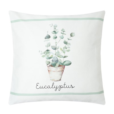 Наволочки декоративные набор 2 шт. «Этель. Эвкалипт», 48×48 см, хлопок 100%