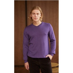 Пуловер P021-15-00 violet melange