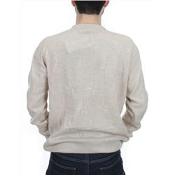 G636 LIGHT BEIGE Джемпер мужской (100% шерсть)