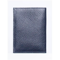 Обложка, автодокументы Richet Ri-087BV 767 Синий