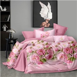 Постельное белье из поплина cтандарт ПВ31-1492