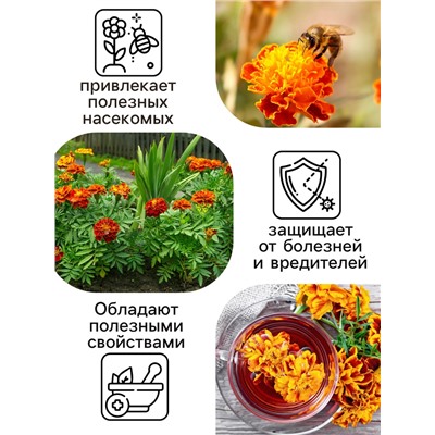 Семена цветов Бархатцы отклонённые «Мандарин», махровые, 0.3 г