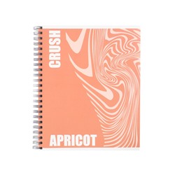 Тетрадь 96 листов в клетку, на гребне, Apricot, МИКС