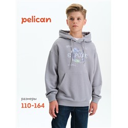PELICAN Толстовка