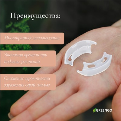Кистедержатель «Улитка», 3.5 см, набор 50 шт., Greengo