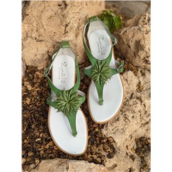 ZAPATOS 2726TG MANZANA+Pelle 2704 pistacho