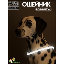 Ошейник - кольцо с подсветкой, зарядка от USB, до 70 см, 3 режима свечения, мультицвет