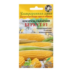 Семена Кукуруза сахарная «Беркут», F1, 8 шт., ультраранняя, «Дом семян»